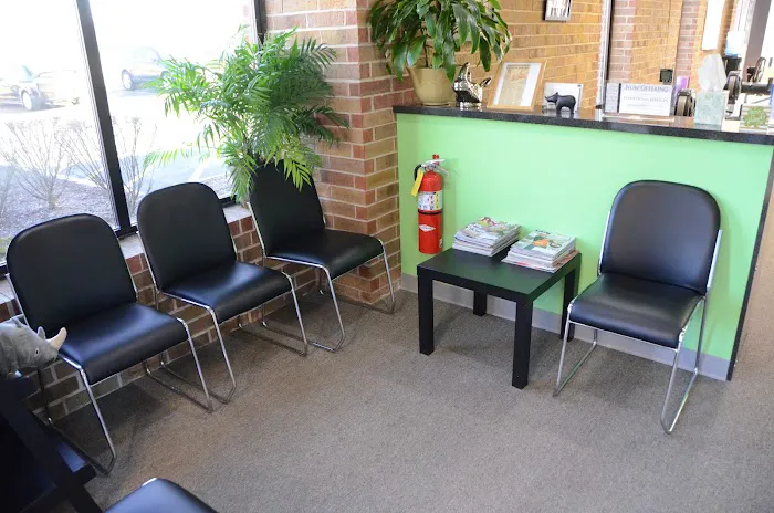 McCahill Chiropractic & Sports Injury Rehab Picture 3