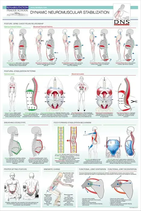 Motus Integrative Health Picture 8