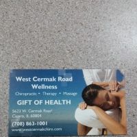 WEBB OF WELLNESS CHIROPRACTIC ico