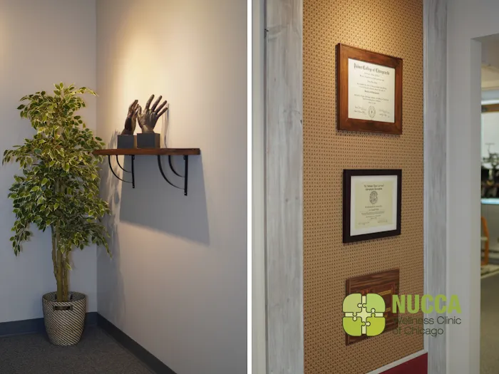 NUCCA Wellness Clinic of Chicago Picture 7