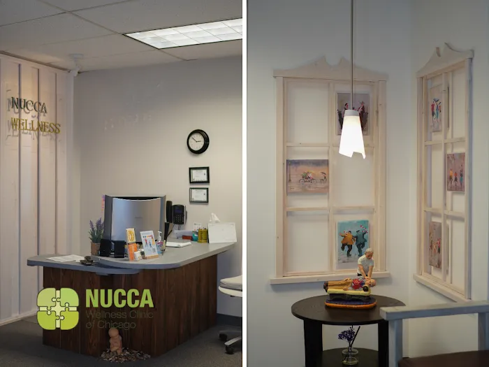 NUCCA Wellness Clinic of Chicago Picture 8