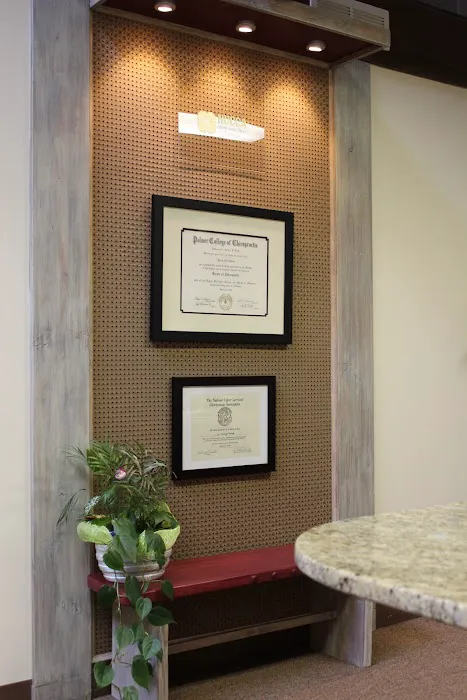NUCCA Wellness Clinic of Chicago Picture 2