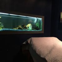 Ease Keystone Wellness Center ico