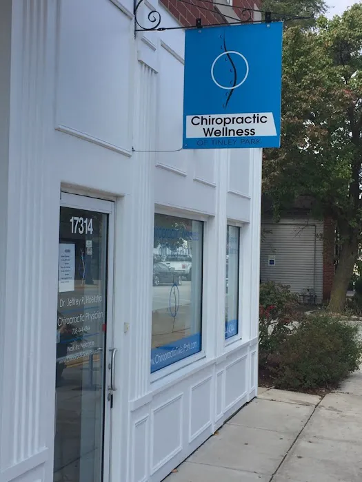 Chiropractic Wellness of Tinley Park Picture 2