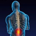 Adam Chiropractic Center