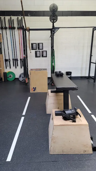 Principle Performance - Chiropractor Park Ridge Picture 3