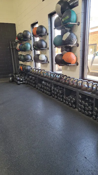 Principle Performance - Chiropractor Park Ridge Picture 4