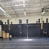 Principle Performance - Chiropractor Park Ridge ico