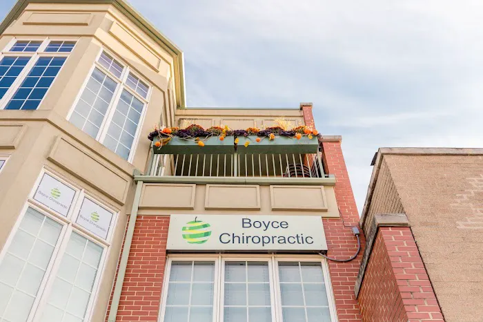 Boyce Chiropractic Picture 6