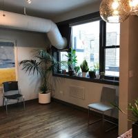 RE: chiropractic + wellness ico