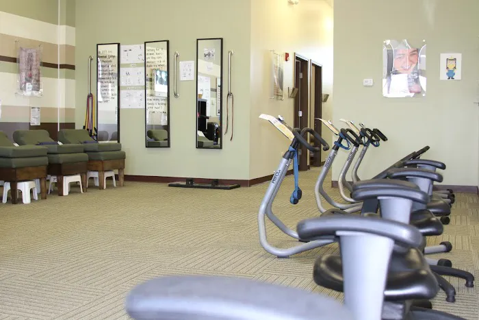 Chiro One Chiropractic & Wellness Center of Orland Hills Picture 4