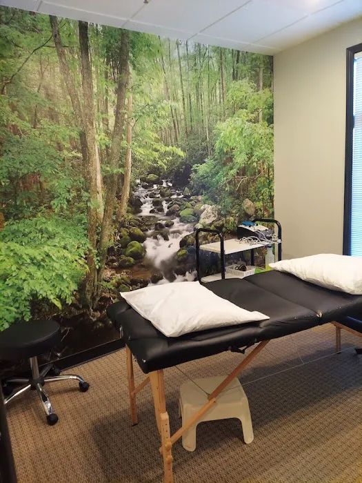 Oak Brook Chiropractic Center Picture 9