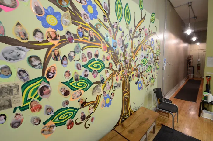 Tree of Life Wellness Center Picture 8