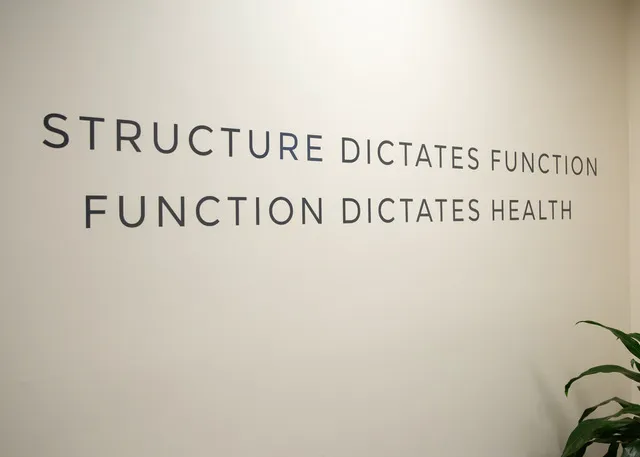Adapt Chiropractic Picture 7