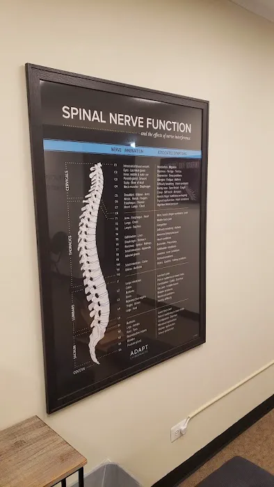 Adapt Chiropractic Picture 1