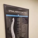 Adapt Chiropractic