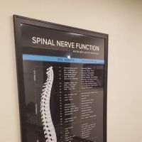 Adapt Chiropractic ico