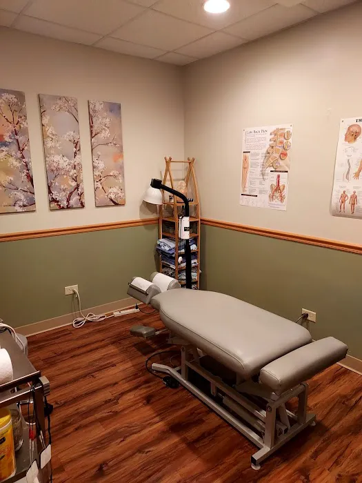 Elmhurst Chiropractic/Dr.D'Onofrio Picture 2