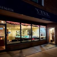 Elmhurst Chiropractic/Dr.D'Onofrio ico