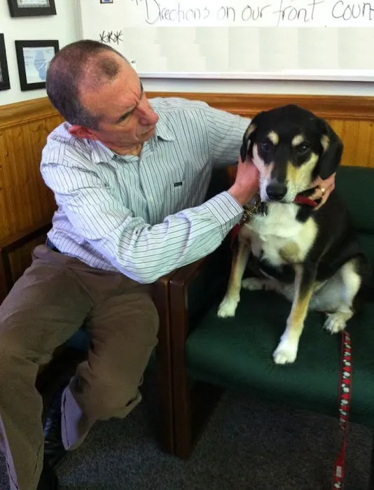 Oakton Chiropractic Clinic Picture 6