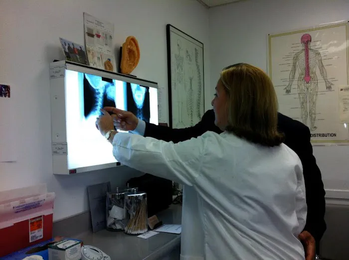 Oakton Chiropractic Clinic Picture 3