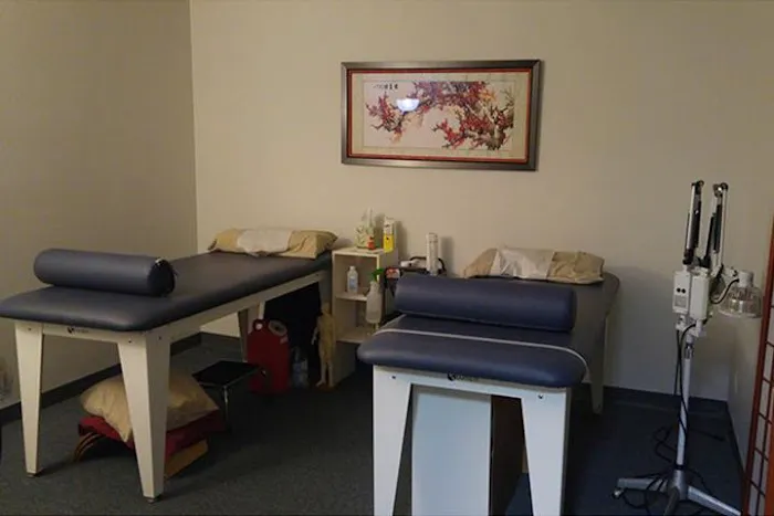 Hinsbrook Chiropractic Picture 2