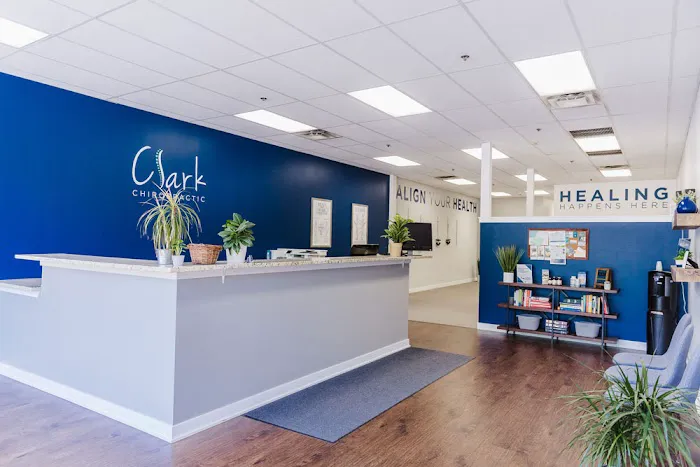 Clark Chiropractic Picture 8