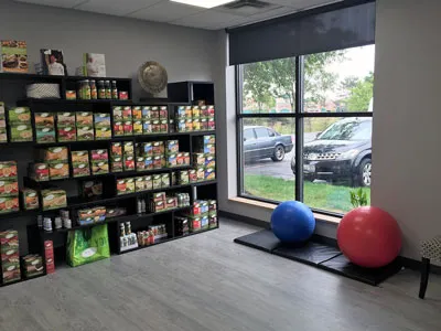 ACTIVE HEALTH CHIROPRACTIC CLINIC Picture 4