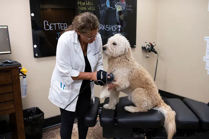 Integrated Health Solutions Picture 3