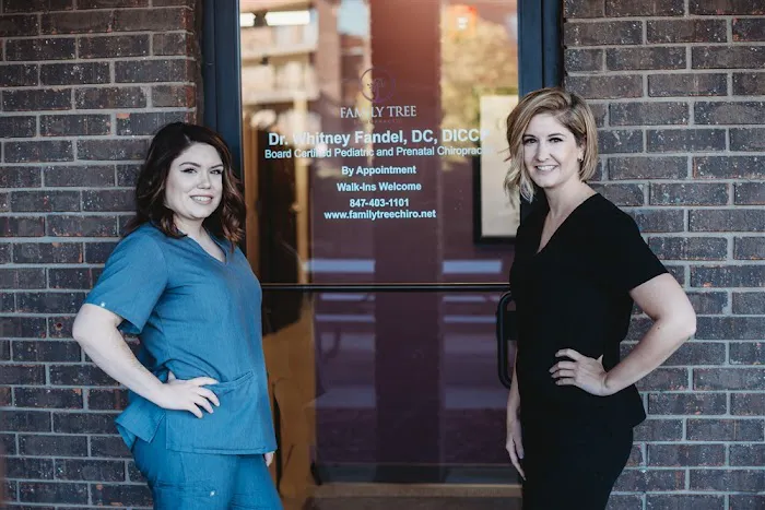 Family Tree Chiropractic - Chiropractor in Park Ridge Picture 1