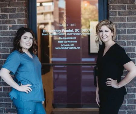 Family Tree Chiropractic - Chiropractor in Park Ridge