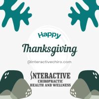 Dr. Brijesh Patel - Chiropractic Care in Des Plaines ico