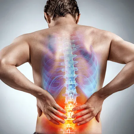 Grandview Health Partners - Accident Injury Chiropractors Chicago Picture 6
