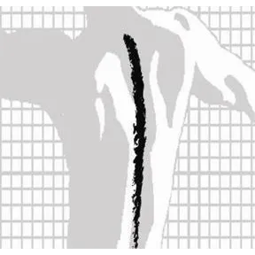 McKay Chiropractic & Sports Therapy Picture 1