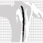 McKay Chiropractic & Sports Therapy