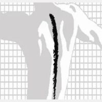 McKay Chiropractic & Sports Therapy ico