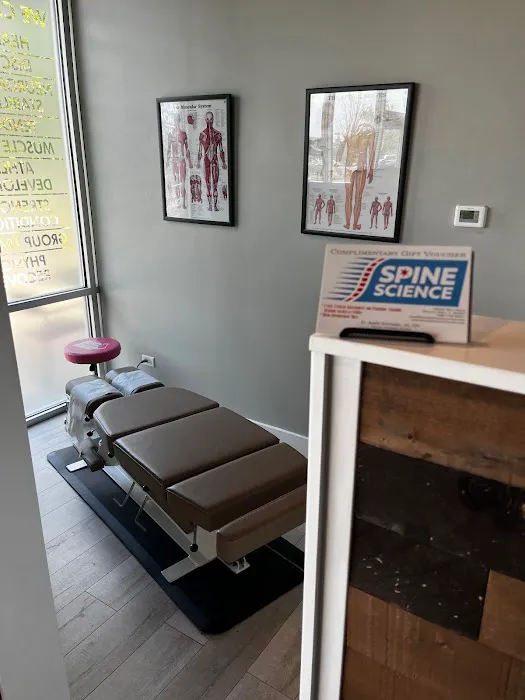 Spine Science Picture 8