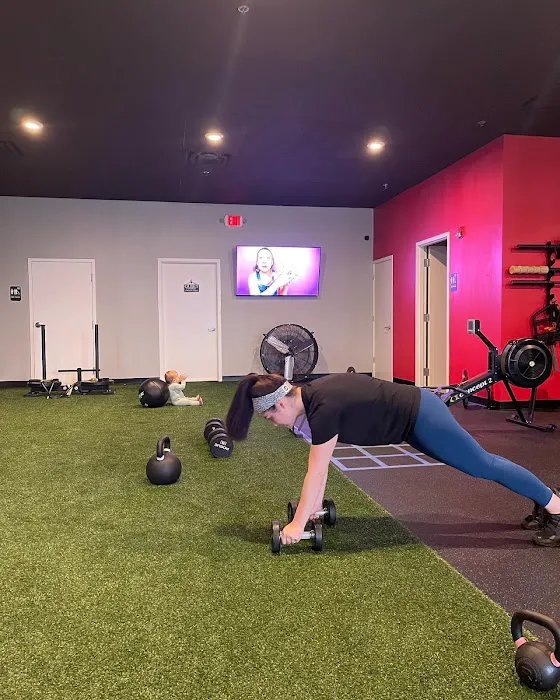 Spine Science Picture 6