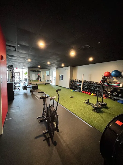 Spine Science Picture 7