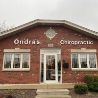Ondras Chiropractic ico