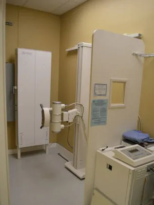 Back to Life Chiropractic Picture 5