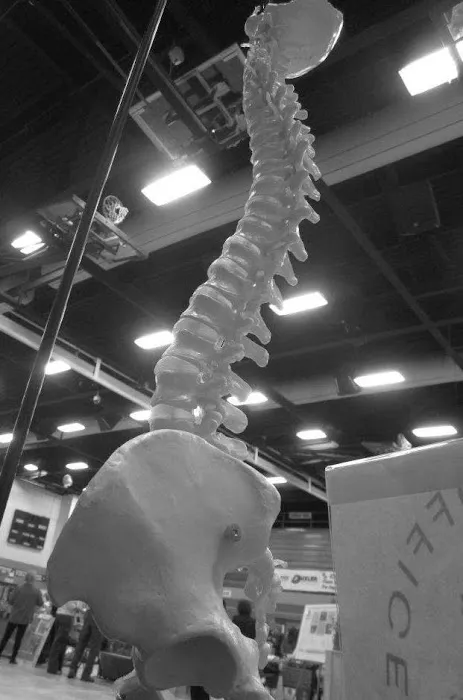 Complete Chiropractic and Rehab Picture 5