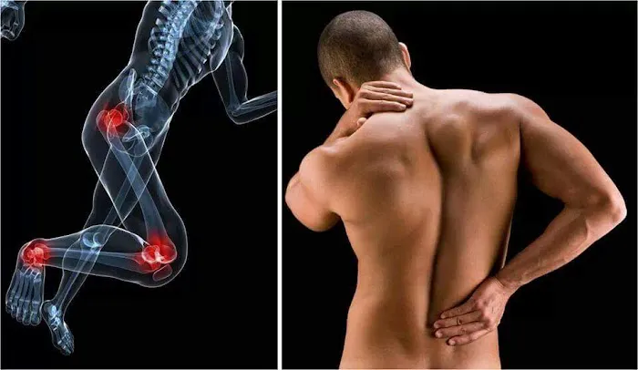 IGH Wellness Picture 7