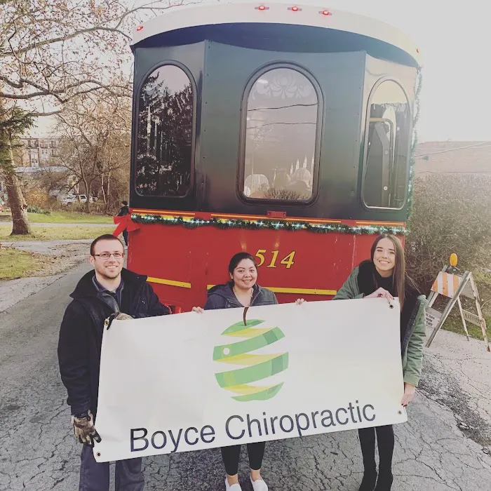 Boyce Chiropractic Picture 3