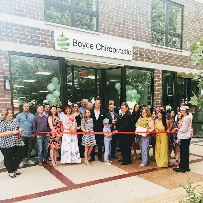 Boyce Chiropractic Picture 9