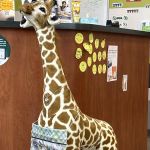 Chiro One Chiropractic & Wellness Center of Glenview