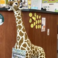 Chiro One Chiropractic & Wellness Center of Glenview ico