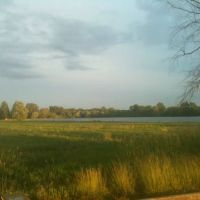 Evanston Integrative Chiropractic, Dr. Arnetra Gilliam ico