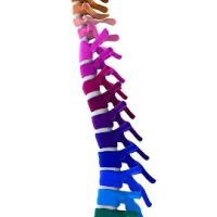 Orion Diagnostic & Chiropractic Center ico