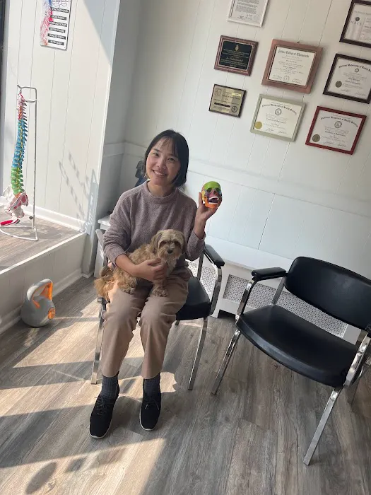 Orion Diagnostic & Chiropractic Center Picture 7